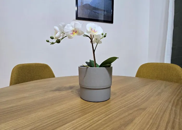 Primavera - New In The Heart Of Lejlighed